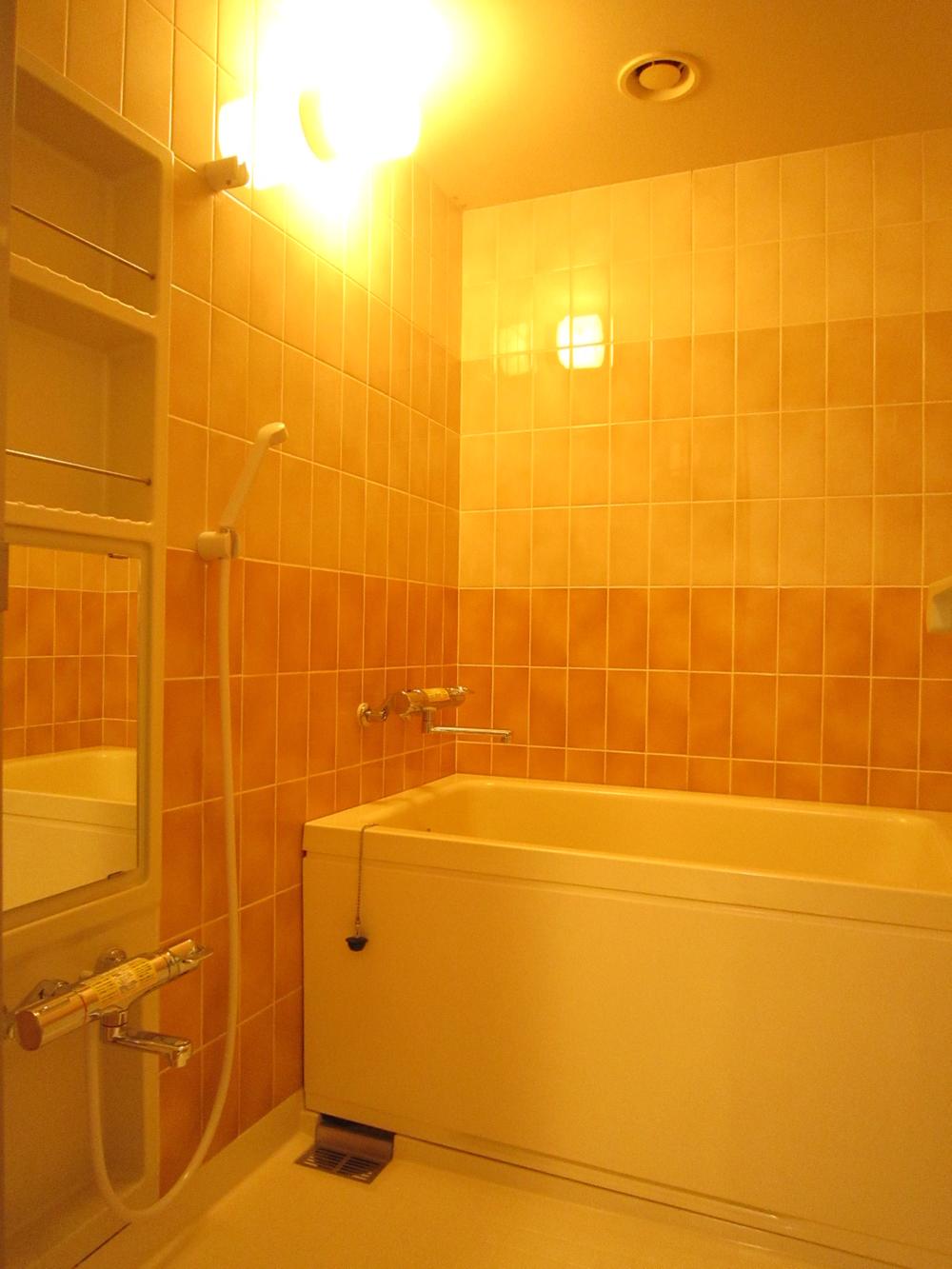 Bathroom. Indoor (11 May 2013) Shooting