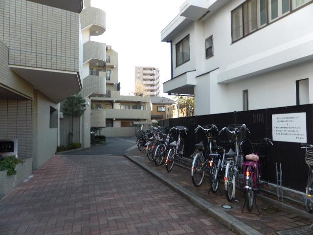 Parking lot. Common areas