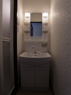 Washroom. Separate vanity