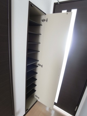 Entrance. Large capacity shoe box