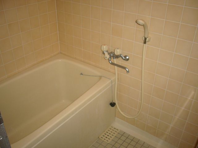 Bath. Washing place nor bathtub, It is spacious happy space.