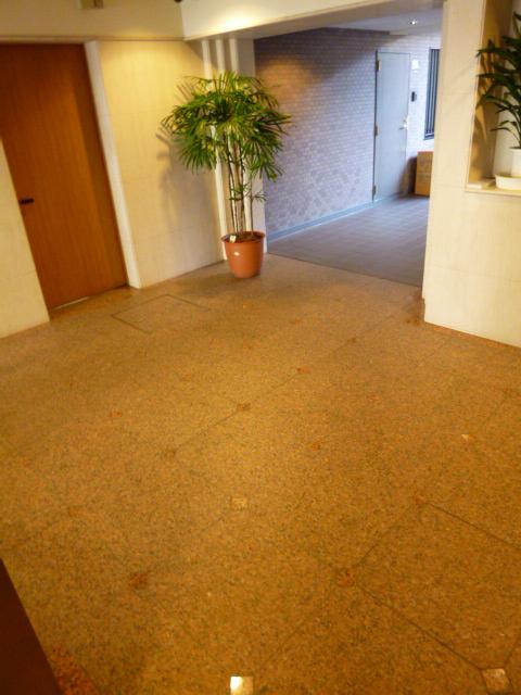 Entrance. Common areas