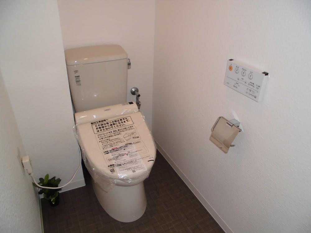 Toilet. Cleaning function with toilet (12 May 2013) Shooting