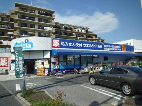 Dorakkusutoa. Uerushia Katsushika Kameari shop 782m until (drugstore)