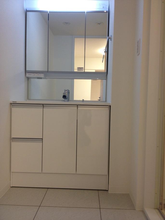 Wash basin, toilet. Vanity shower faucet