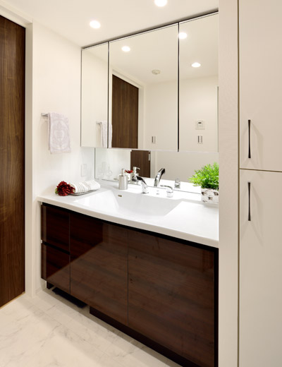 Bathing-wash room.  [bathroom] The storage of useful Facing door and two-stage sliding was equipped with under-counter. The inside of the door we have established also ECO box that small is placed.