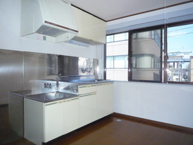 Kitchen. There is a kitchen window!