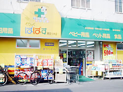 Dorakkusutoa. Drag Papas Higashiyotsugi shop 249m until (drugstore)