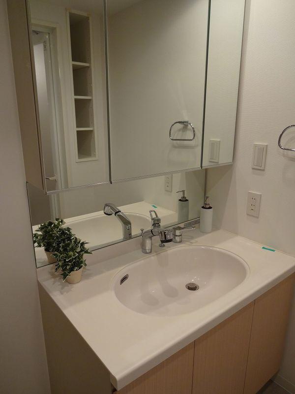 Wash basin, toilet. Bathroom vanity