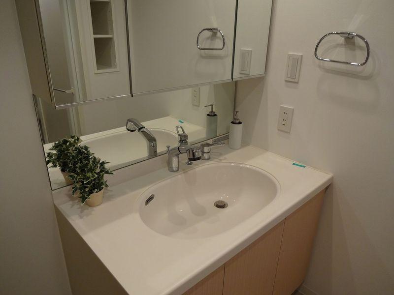 Wash basin, toilet. Bathroom vanity