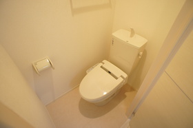 Toilet. Cleaning function toilet seat