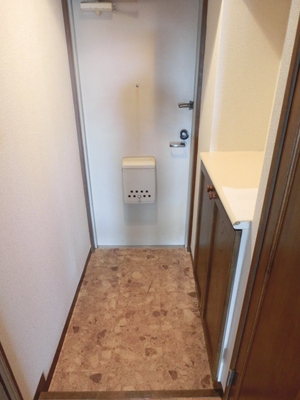 Entrance. Shoes BOX equipped Bright entrance