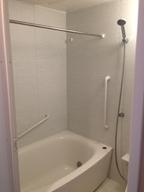 Bathroom. bathroom / 2013 November shooting