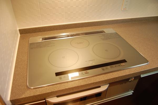 Kitchen. IH cooking heater (at the time of new construction) / May 2009 shooting