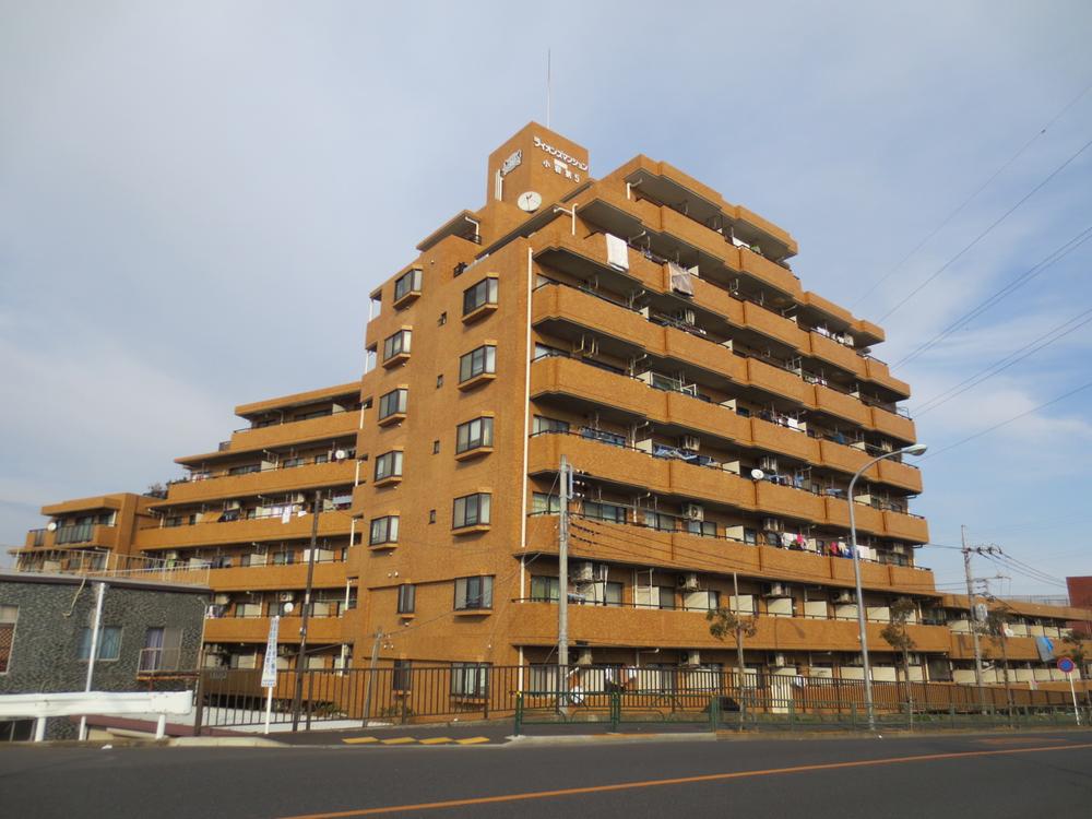 Local appearance photo. Local (January 2014) Shooting