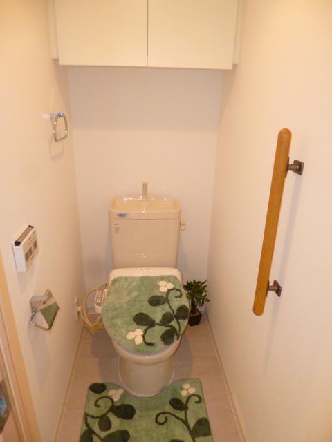 Toilet. Shower toilet