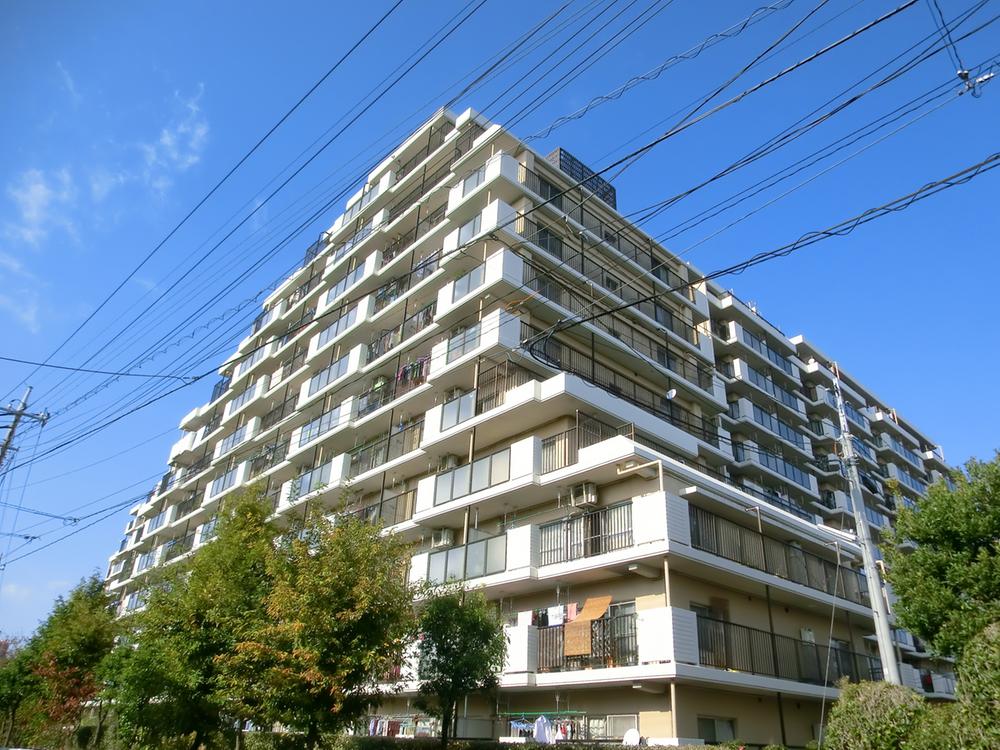 Local appearance photo. Local (August 2013) Shooting