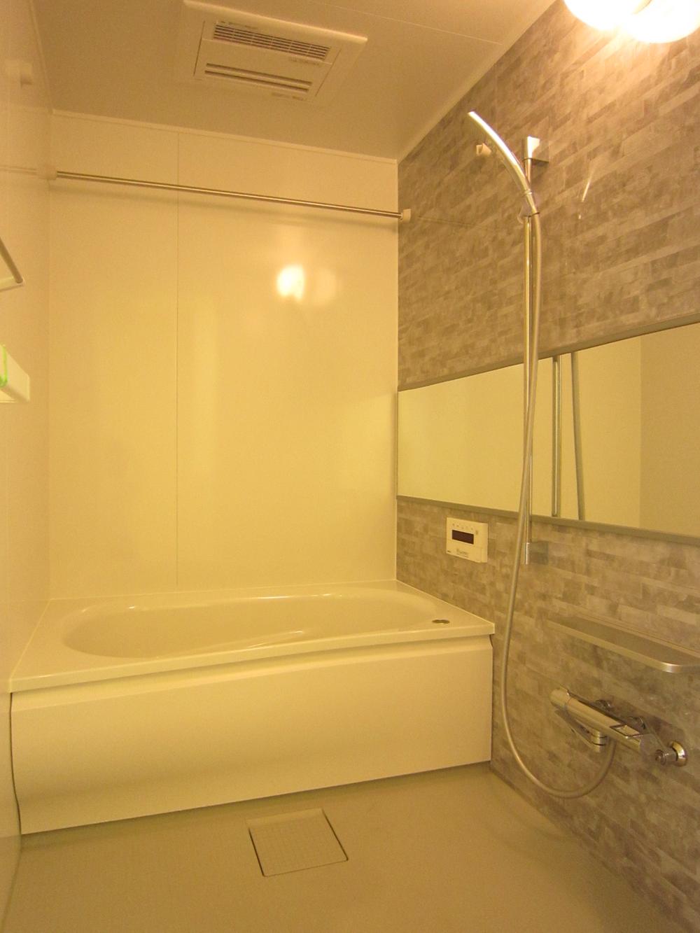 Bathroom. Indoor (10 May 2013) Shooting