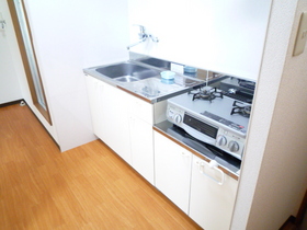 Kitchen. Gas stove installation Allowed!