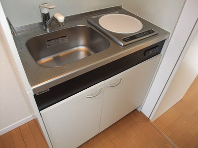 Kitchen. IH cooking heater