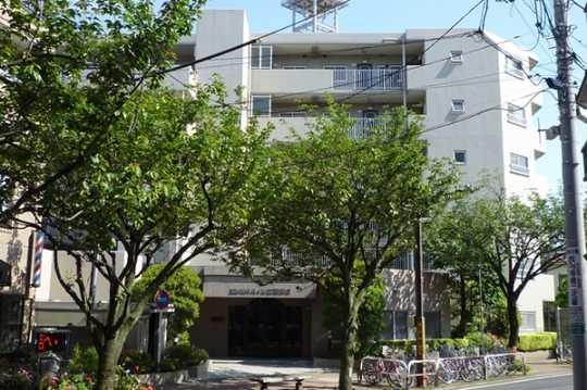 Local appearance photo. Mansion appearance