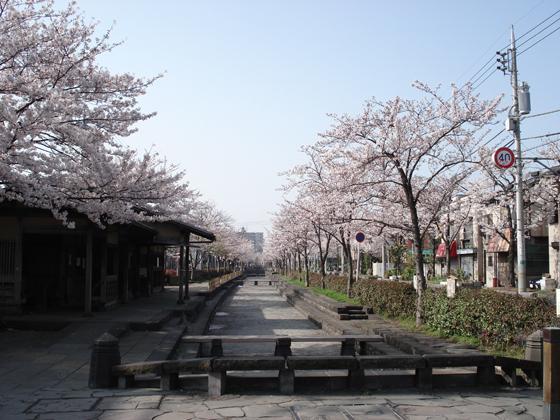 park. 300m to towing water park