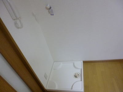 Other. There are washing machine Storage. 