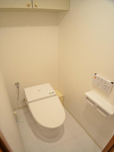 Toilet. Shower toilet