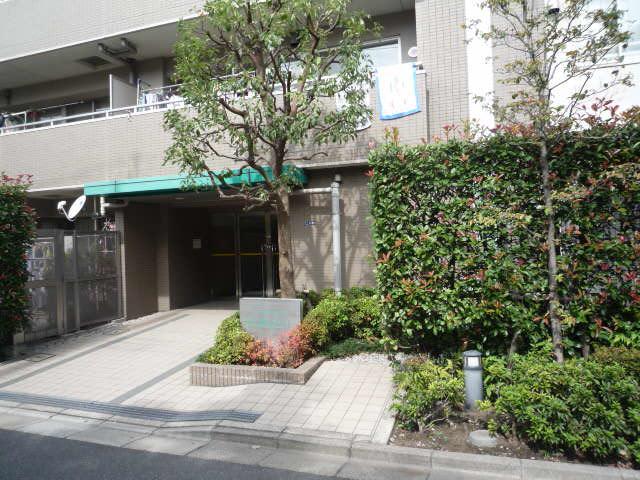 Entrance. Common areas