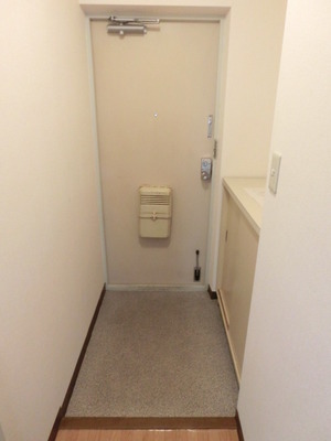 Entrance. Shoes BOX equipped Bright entrance