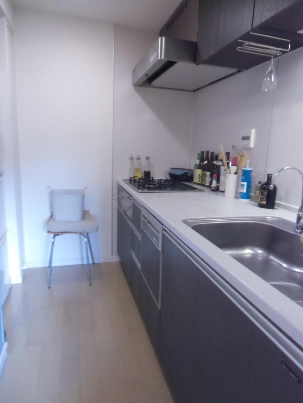 Kitchen. It is with a dishwasher (12 May 2013) Shooting