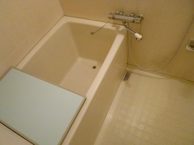 Bathroom. Indoor (12 May 2013) Shooting