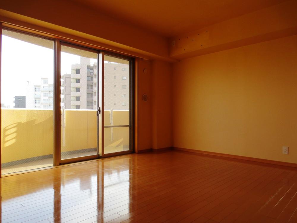 Living. Indoor (January 2014) Shooting