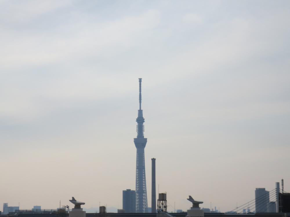 View photos from the dwelling unit. View from the site (January 2014) Shooting