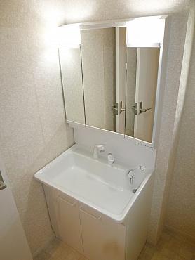 Wash basin, toilet. Bathroom vanity