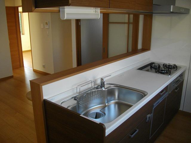 Kitchen. Indoor (September 2013) Shooting