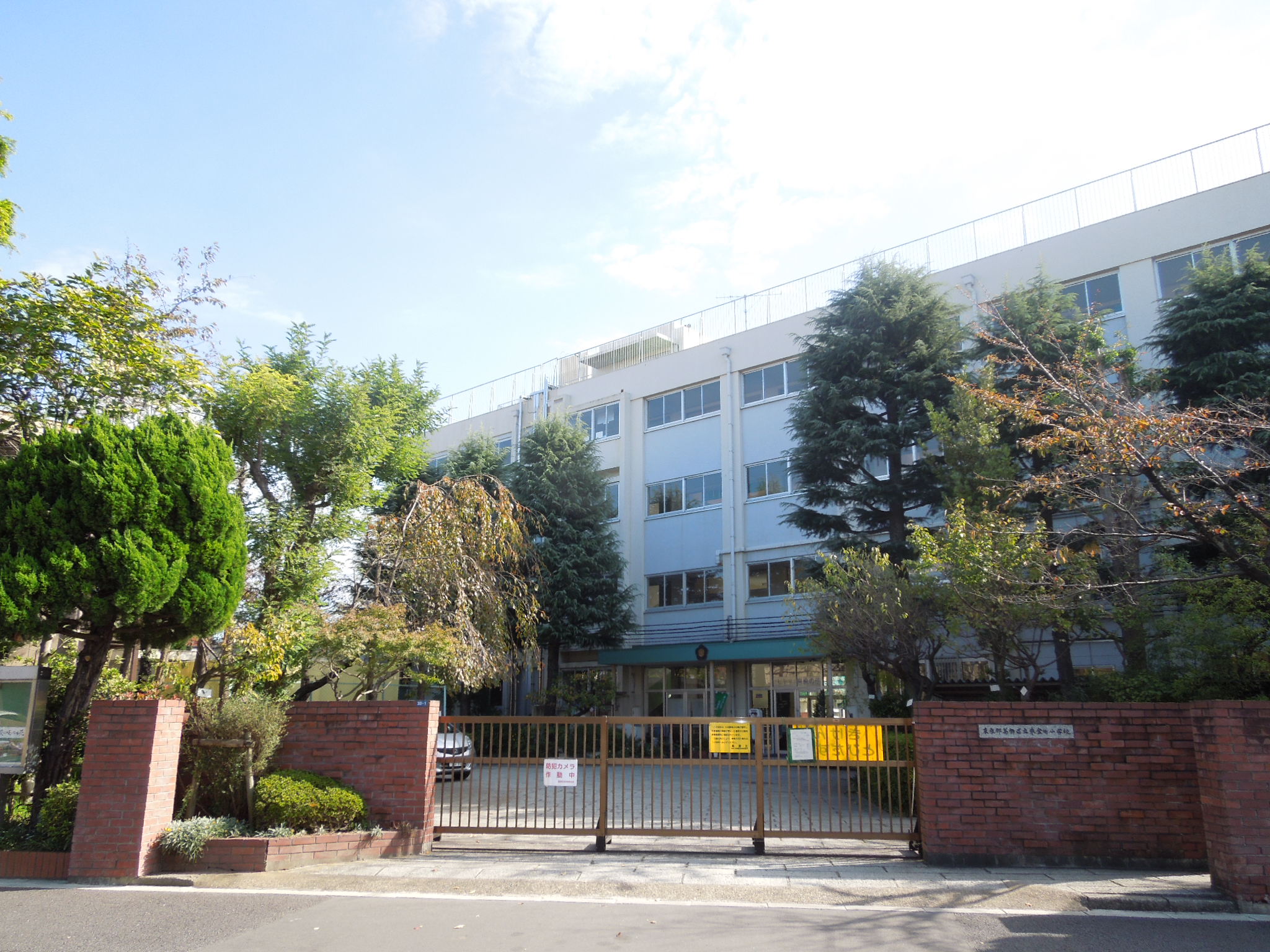 Primary school. 108m to Katsushika Ward Togane the town elementary school (elementary school)