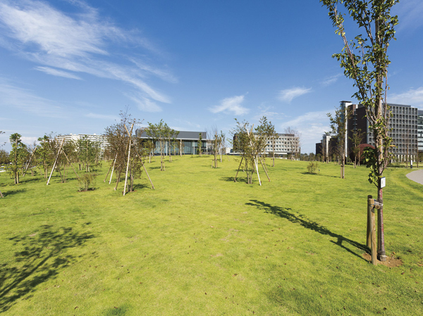 Surrounding environment. Katsushika Shinjuku future park <about 20m ・ 1 minute walk (about 130m ・ 2-minute walk)> ( ※ 3)