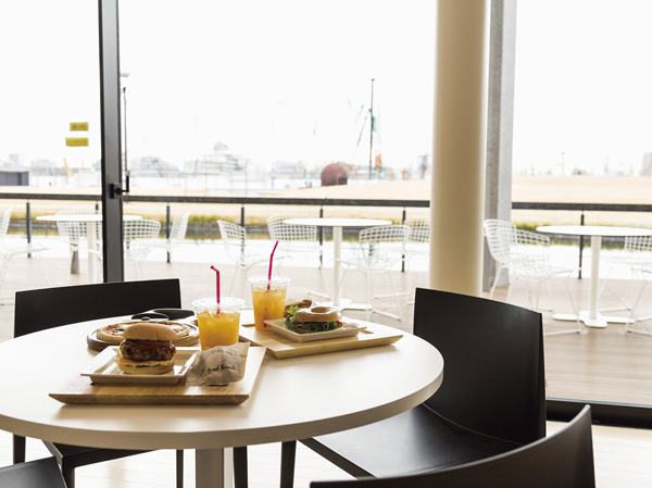 Surrounding environment. NEW