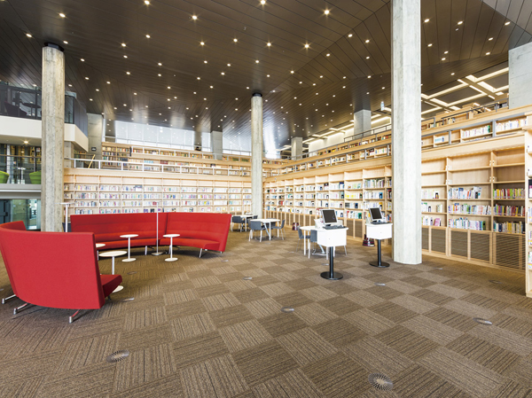 Surrounding environment. NEW