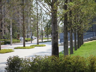 Surrounding environment. NEW