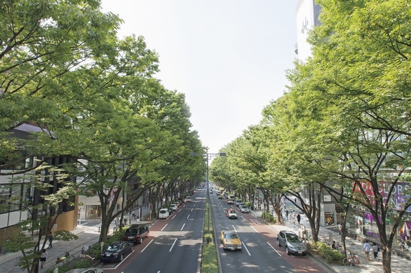 Omotesando (Photo Station) JR Joban Line "Kanamachi" direct 38 minutes from the station to "Omotesando" station (40 minutes) ※ 4 ※ Tokyo Metro Chiyoda Line rode in the "Ayase" station