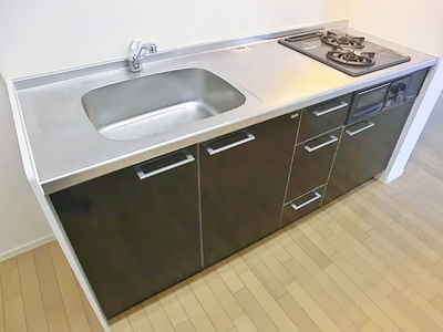 Kitchen. Two-burner stove, This is a system kitchen with grill.