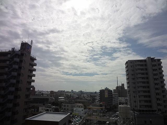 View photos from the dwelling unit. View is good.