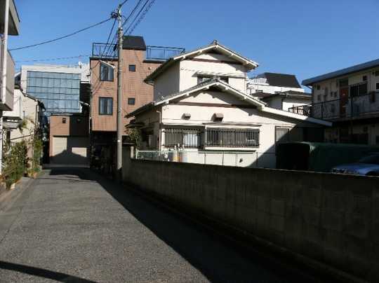 Local land photo. Appearance 1