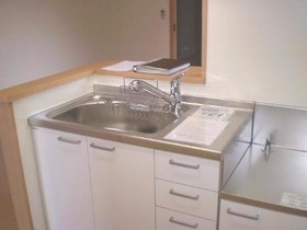 Kitchen. "Reference photograph" Inverted type