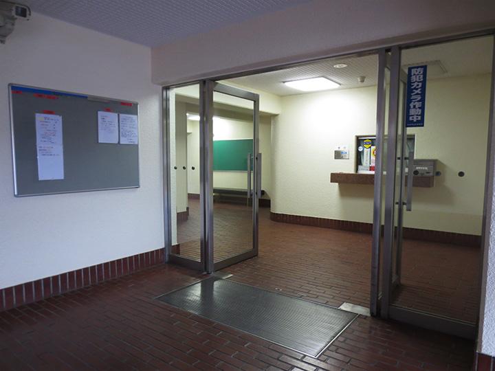 Entrance. Common areas