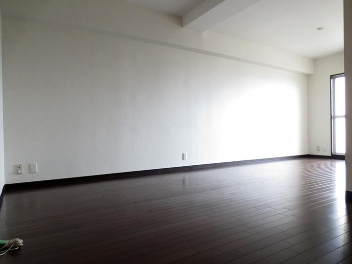 Living. Living-dining (11 May 2013) Shooting