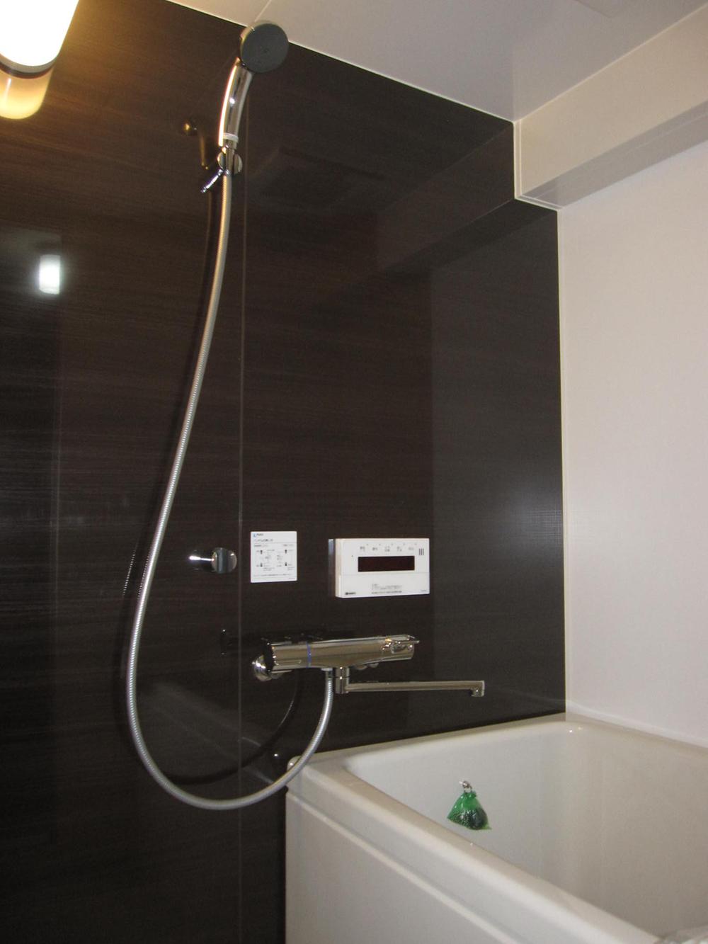 Bathroom. Indoor (12 May 2012) shooting