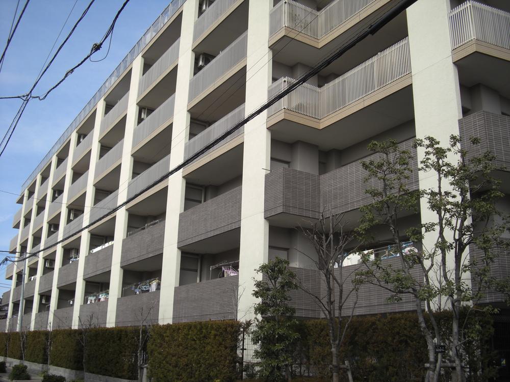 Local appearance photo. Local (September 2013) Shooting